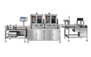Automatic Print and Apply Labeling System with InLine Checkweigher